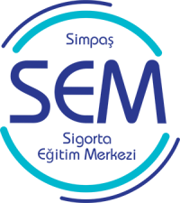 SEM logo küçük